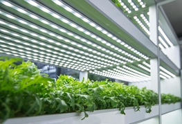Case Study: Conformal Coating Improves Reliability of Grow Lights without Affecting Light Properties